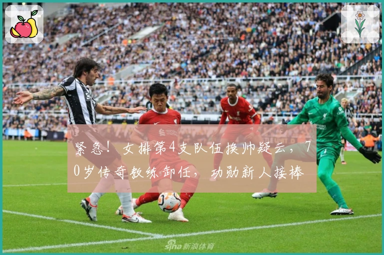 紧急!女排第4支队伍换帅疑云,70岁传奇教练卸任,功勋新人接棒